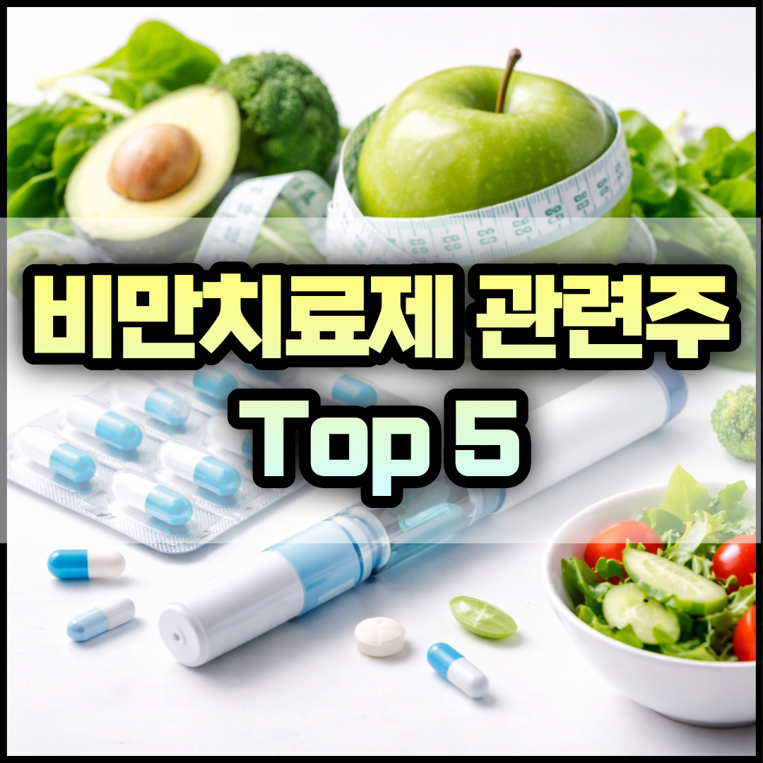 비만치료제 관련주 Top 5와 전망 썸네일